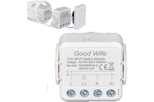 GOOD WIFE Interruttore WiFi 16A, smart life APP Controllo mini modulo relè, fai da te per elettrodomestici con telecomando Smart Life, compatibile con Alexa Google Home, controllo a 1 o 2 vie, (1)