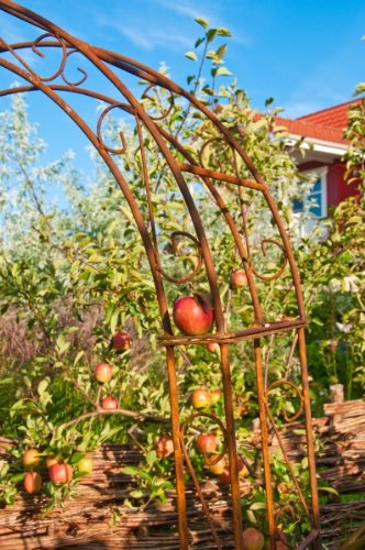 Rosenbogen aus Metall 12mm Massiveisen! B: 140cm Roheisen / Rost – sehr stabil - 3