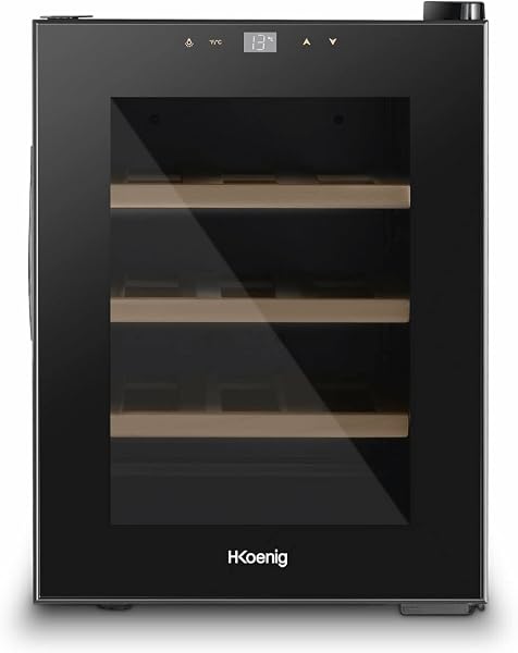 H.Koenig Vinoteca 12 Botellas AGE12, 31 L, Profesional Acero Inoxidable, Refrigerante, Termoeléctrica, Regulable de 8°C a 18°C, Silenciosa, Iluminación Interior, 3 Estantes, Negro - 1
