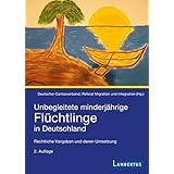 Unbegleitete Minderjahrige Fluchtlinge Vertretung Asylverfahren Aufenthalt Ein Leitfaden Fur Die Praxis Amazon De Hocks Stephan Leuschner Jonathan Bucher