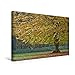 Produktbild Premium Textil-Leinwand 45 cm x 30 cm quer, Verschlungene Strukturen am Stamm der Hainbuche | Wandbild, Bild auf Keilrahmen, Fertigbild auf echter Leinwand, Leinwanddruck: Herbst (CALVENDO Natur)