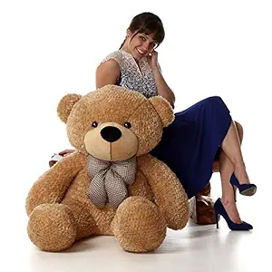 BACK BANCHERS ?Teddy Bear for Girls Big Size, Panda Teddy Bears for Kids, tady Bears Toys Big Size Latest 2 Feet Brown Standard New Edition