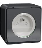 Presa Elettrica 2P+T Mureva Styl Schneider Electric - IP55, IK08, Colore Grigio Antracite - Montaggio A Parete O Incasso - Mod. MUR38030