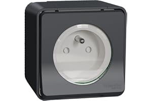 Schneider Electric - Mureva Styl - Prise courant 2P+T - saillie - IP55 - IK08 - connexion auto - gris - MUR35031