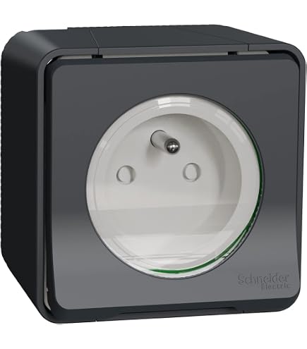 Schneider Electric sc5shn0212455 presa di corrente + va e vieni verticale Mureva Styl, 250 V, grigio