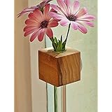 Fenstervase Tulpin Blumenvase