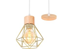 TOKIUS E27 Plafonnier Industriel Suspension Luminaire Vintage Design Lustre Métal Rétro forme Cage Ø160mm éclairage plafond 40W, Doré (Lustre avec bois -1pcs)