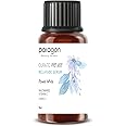 Curate Paragon Beauty Garden Melafade Serum with Niacinamide & Vitamin C – Skin Brightening & Dark Spot Corrector for Radiant Glow (15ml)