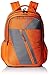 American Tourister Ebony Orange Casual Backpack (Ebony Backpack 07_8901836132823) RS.1025.00