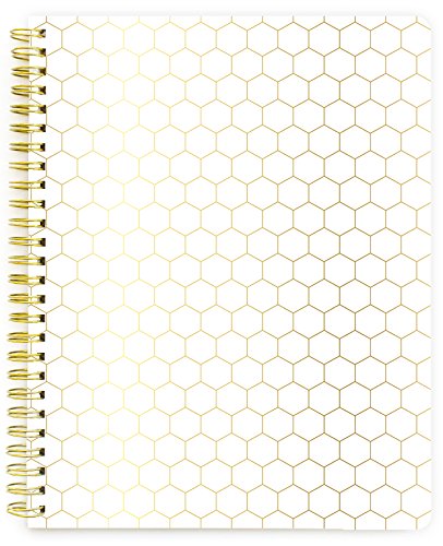 Webster's PagesSpiral Ntbk - Gold Honeycomb Lined (SB004)