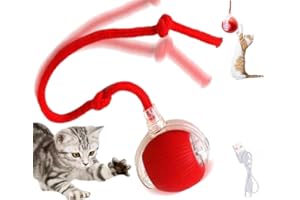 VECORA Smart Interactive Cat Ball Toys – 360° Automatic Rolling Cat Toys, USB Rechargeable, Fun Speedy Tail Alternative, Interactive Cat Toy for Indoor Adult Cats & Kittens, Stimulate Cats' Hunting Instincts