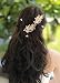 Gracewedding Crystal Bridal Hair Pins Wedding Hair Accessories-Hair Clips Rhinestone Jewelry Headdress(pack of 5)