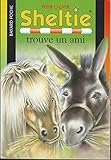 Sheltie trouve un ami