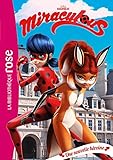 Miraculous 13 - Une nouvelle héroïne