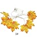Produktbild Yangshan Halloween LED Lichterkette 3M 20LED beleuchtet Herbst Herbst Kürbis Maple Leaves Garland Thanksgiving Decor (Color : C no Batteries, Size : 3M)
