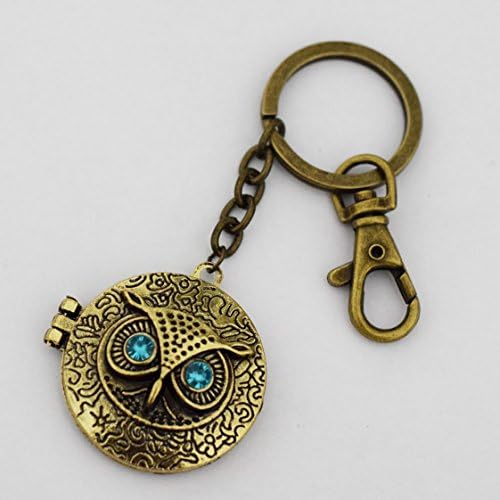 Owl Locket Key Chain, Vintage Owl Key Chain, Owl Treasure Key Ring, Antique Gold Owl Locket Key Chain,