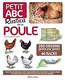 Aménagement poulailler : liste des accessoires du poulailler