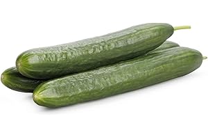 AMOREBIO Schlangengurken 2 x 1 Stk