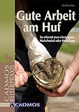 Image de Gute Arbeit am Huf: So erkennt man einen guten Hufschmied oder Hufpfleger (Cadmos Reiterpraxis)