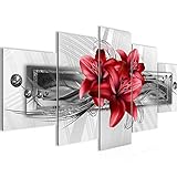 leinwand bilder rot UNSCHLAGBARERER PREIS: beste Preise, schneller Versand vom deutschen Hersteller direkt an Ihre Haustür!