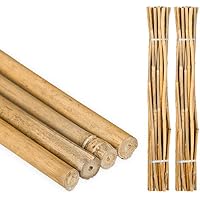 Amazon.es: Soportes para plantas: Jardín
