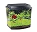 Produktbild Haquoss blau 3.8 Aquarium 21,6 x 15,6 x 20,8h cm, 3,8 l, Schwarz