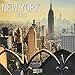 New York 2020: Broschürenkalender mit Ferienterminen. Format: 30 x 30 cm by 