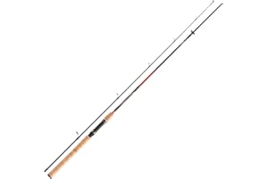 Daiwa Sweepfire Spin Canne à pêche 2 pièces Spin 3 m 20-60 g