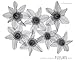 Fleurs- Premiumkalender 2012 by 