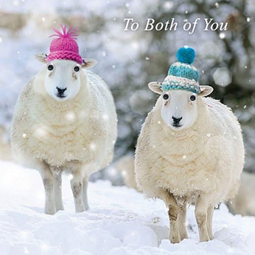 Two Sheep "To Both of You" Single Xmas Card 3D Goggly Moving Eyes