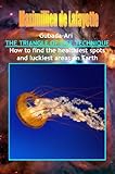 Image de Gubada-Ari: The Triangle Of Life. How to find the healthiest spots and luckiest areas on Earth (English Edition)