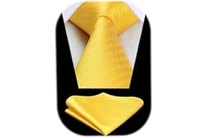 HISDERN Ties for Men Wedding Tie & Pocket Square Houndstooth Formal Business Plain Necktie Handkerchief Set
