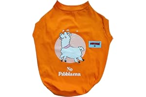 FETCHER Orange 'No Problama' Premium Dog, Puppy, Kitten and Cat T-Shirt for Small Breeds (16" Medium)
