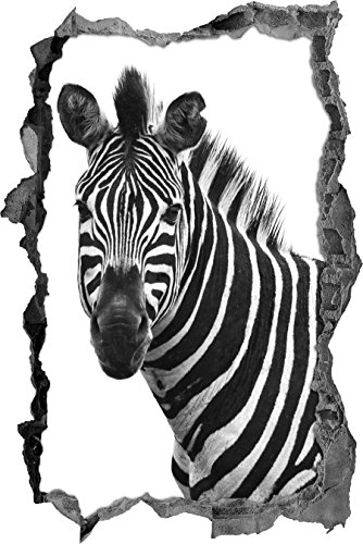 Pixxprint 3D_WD_S1509_62x42 wundervolles Zebra Wanddurchbruch 3D Wandtattoo, Vinyl, bunt, 62 x 42 x 0,02 cm