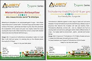 Metarhizium Anisopliae Bio Insecticide, 1kg White Trichoderma antifungal Powder 1 kg