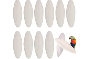 WIRZUL Lot de 10 jouets à mâcher en os de seiche pour oiseaux, 8-10 cm, os de seiche pour perroquets, jouets à mâcher et à broyer contenant du calcium, adaptés aux oiseaux, tortues et reptiles.