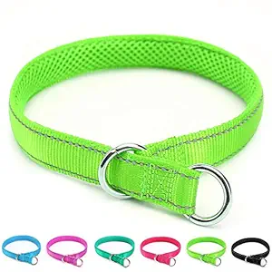 Mycicy Reflective Dog Training Collar, Soft Nylon Slip Choke Collar for Dogs in Green 20