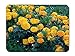 Produktbild BGLKCS Marigold - Flower- #31079 Mauspads Customized Rectangle Non-Slip Rubber Mousepad Gaming Mauspads 8.6x7.1 Inches