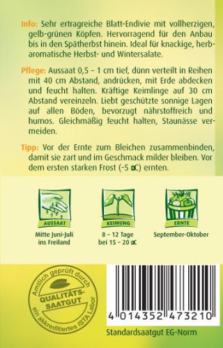 Winter-Endivien Gialla a cuore pieno - 2