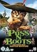 Puss N Boots [Not Dreamworks] [DVD]