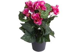 ‎BOTANIC-HAUS künstliche Begonie (Begonienbusch) mit 7 Stielen im schwarzen Kunststofftopf (Beauty)