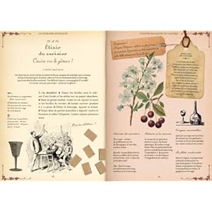 Potages et breuvages : mes recettes de sorcières