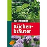 Taschenatlas Küchenkräuter: 131 Pflanzenporträts (Taschenatlanten)