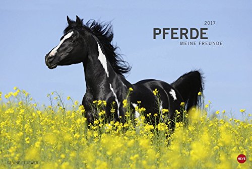 Pferde - Meine Freunde - Kalender 2017