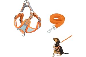 NOKDAL Katzengeschirr Soft Katzengeschirr mit Leine Verstellbar Katzengeschirr Ausbruchsicher Cat Harness Katzengarnitur Softgeschirr Escape Proof Cat Harness Set mit Reflektierenden Streifen für Haustiere