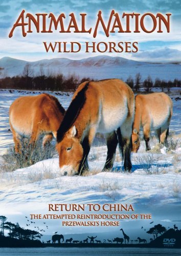 Animal Nation - Wild Horses - Return To China [DVD]