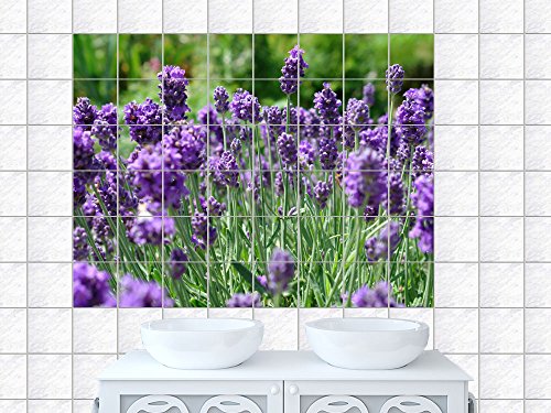Fliesenaufkleber Fliesenbild Lavendel auf einer Wiese für Bad Küche Fliesen (Fliesenmaß:15x15cm(BxH)//Bildformat:90x60cm(BxH))