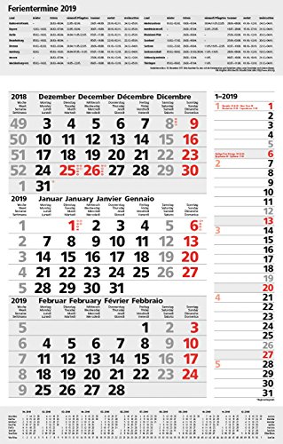 3-Monats-Planer Combi Grau 261019 2019: 3-Monatskalender groß I Wandplaner / Bürokalender mit Datumsschieber, Ferienterminen, Vor-und Nachmonat und ... I extra Streifenplaner I 30 x 47,8 cm