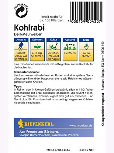 Kohlrabi Delikatess weisser - 2