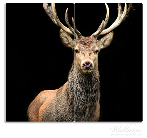 Wallario Herdabdeckplatte / Spritzschutz aus Glas, 2-teilig, 60x52cm, für Ceran- und Induktionsherde, Stattlicher Rothirsch